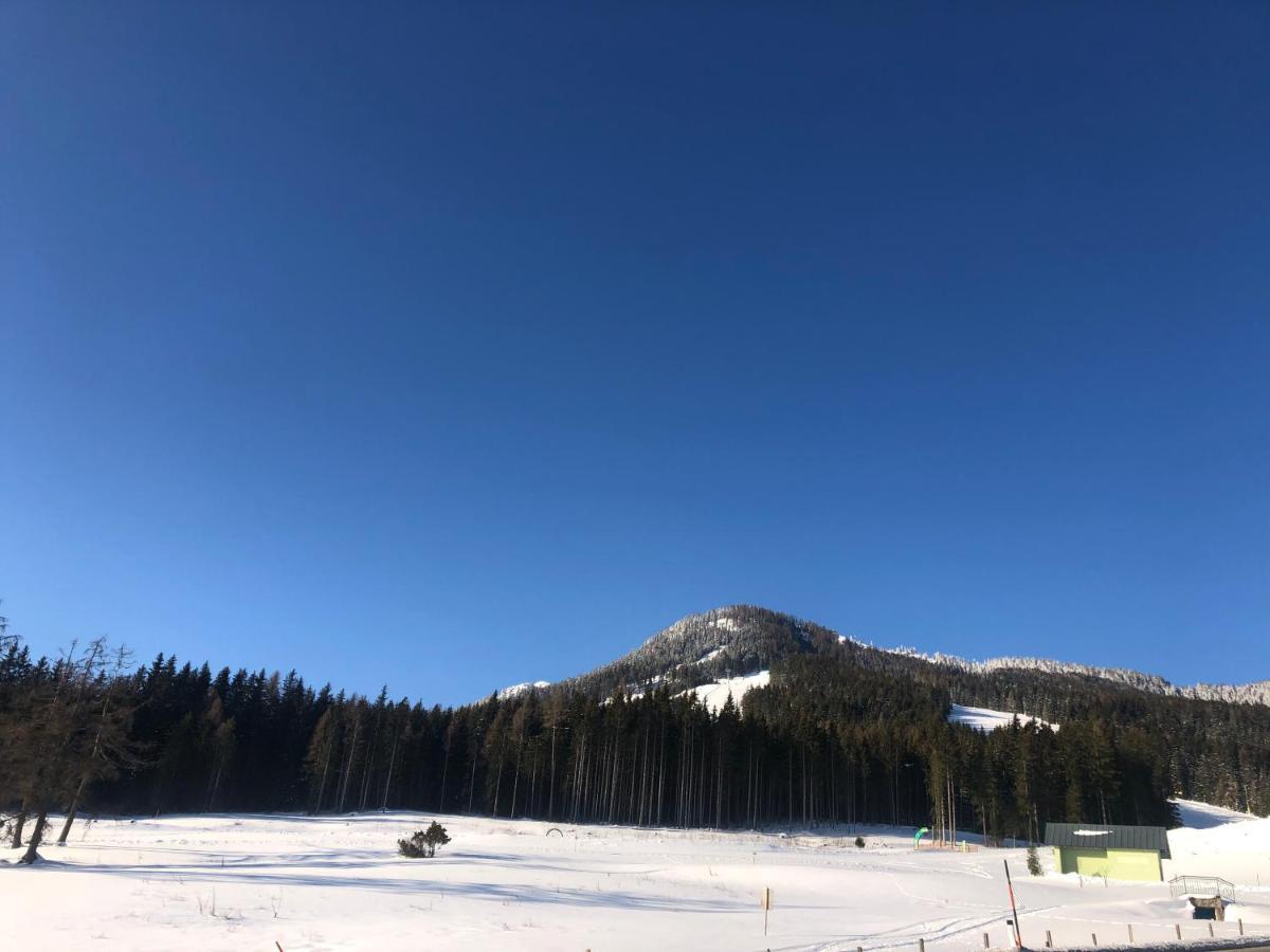 Appartement Schwab Ski In & Out Schladming Eksteriør bilde